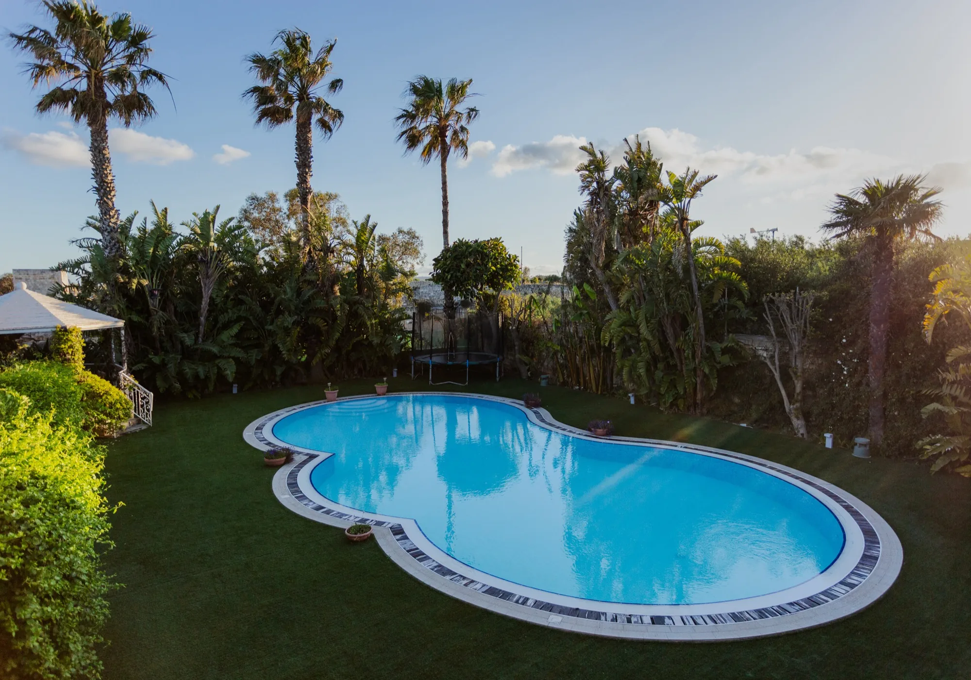 Aerial view of the lagoon pool and palm gardens at Nine Angels Villa, Malta