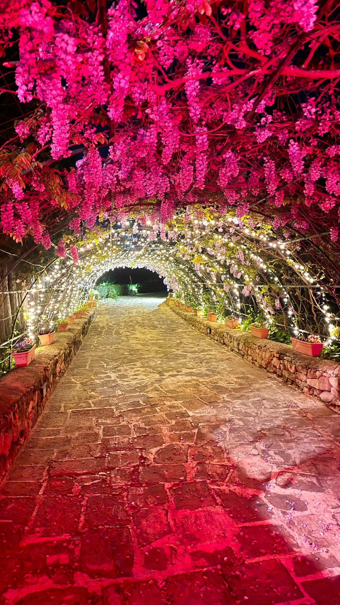 Rose arch entrance at night, Nine Angels Villa event venue, Madliena Malta